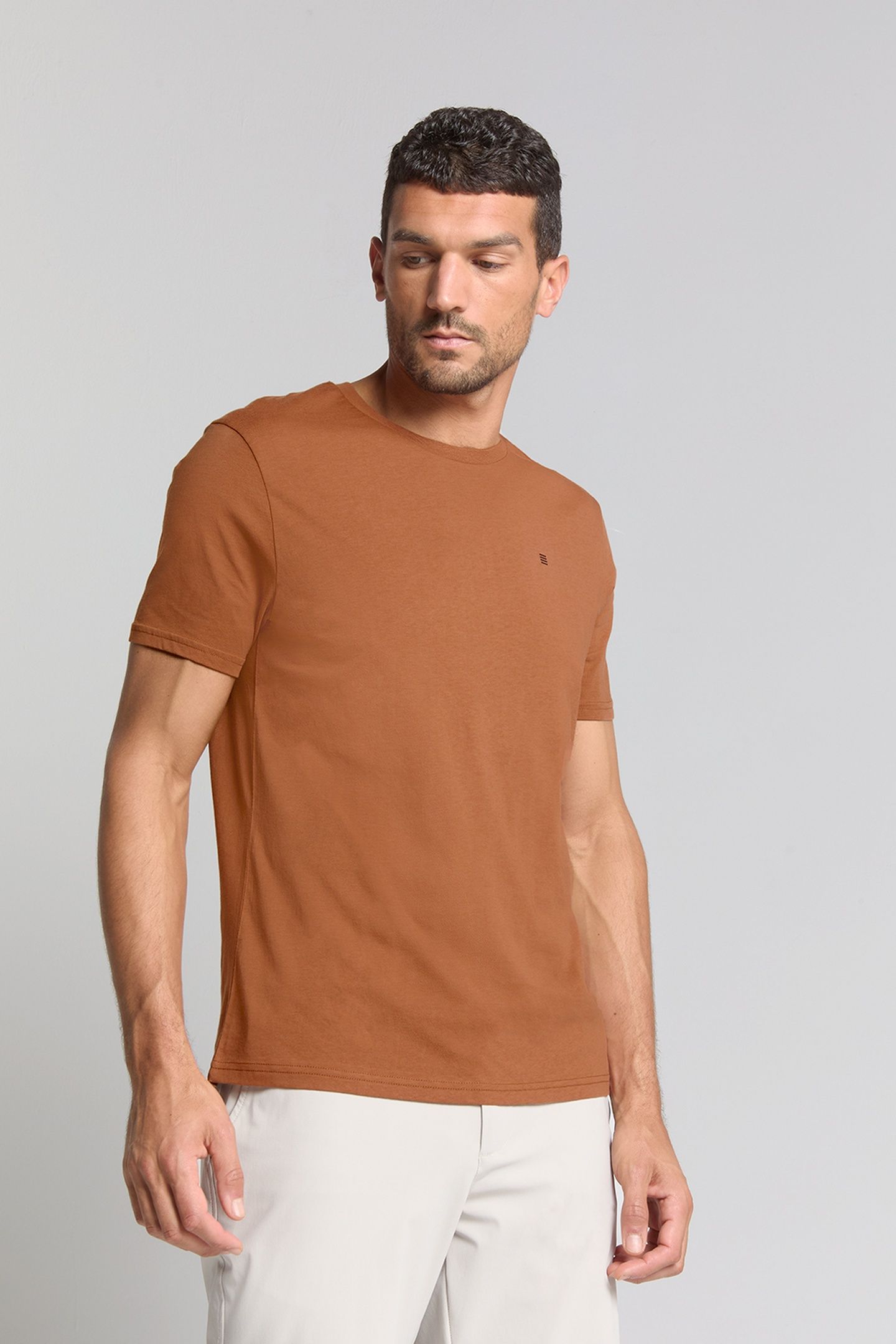 T-SHIRT CREWNECK SOLID BASIC CARAMEL 2