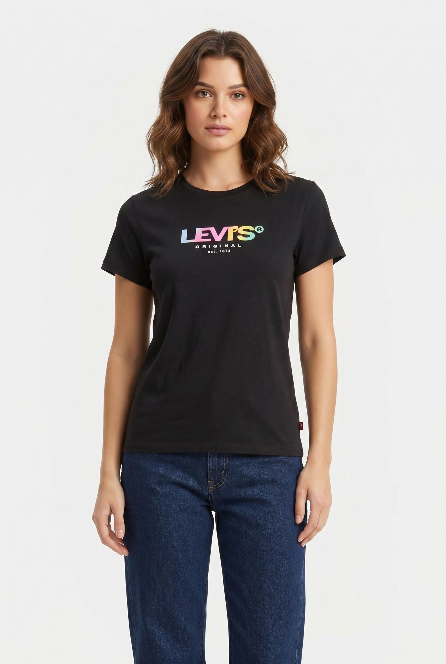 THE PERFECT TEE GRADIENT SSNL LOGO 1