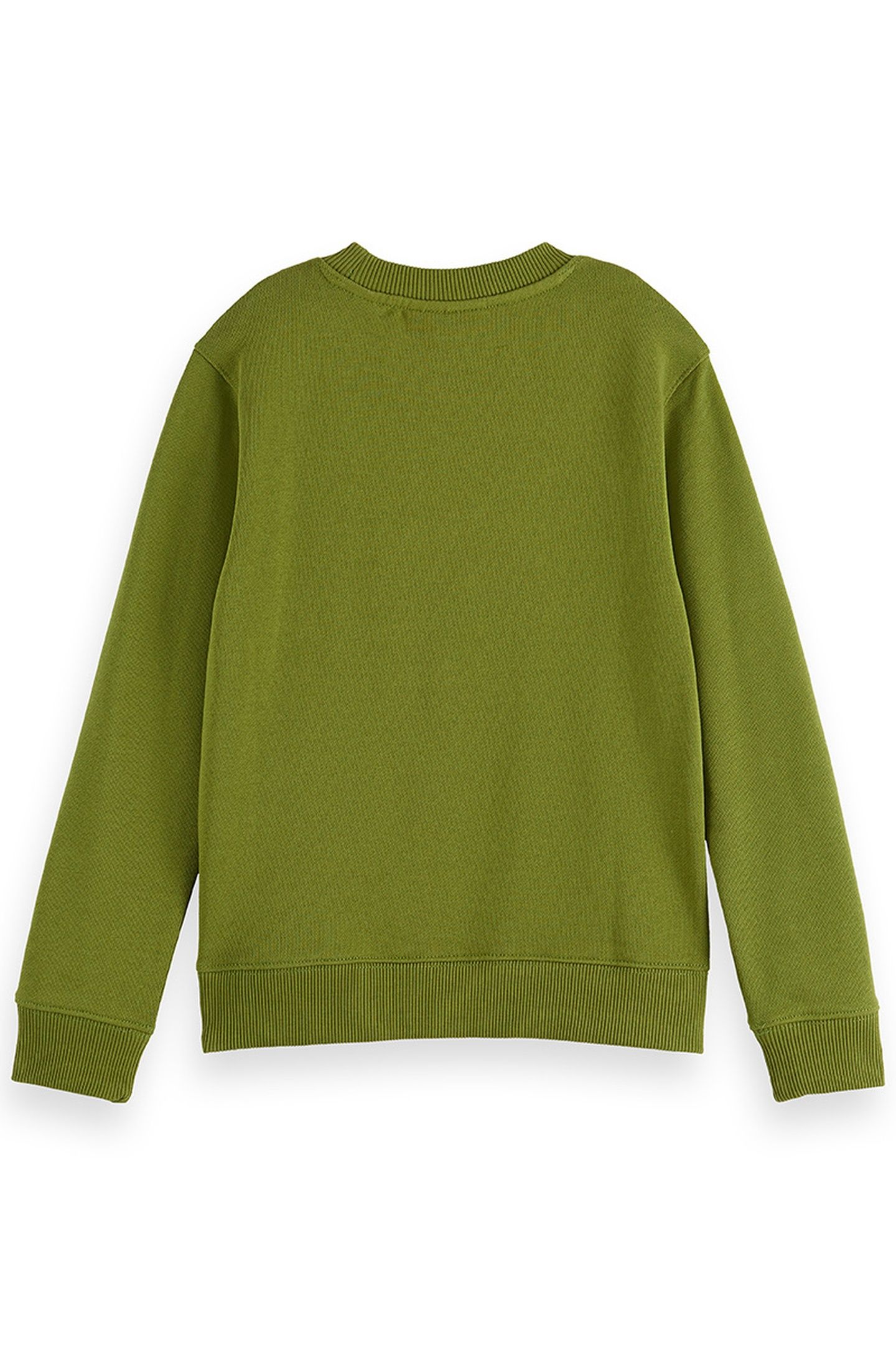 BOY REGULAR-FIT SWEATSHIRT WITH FRONT ARTWORK CALLA GREEN 2