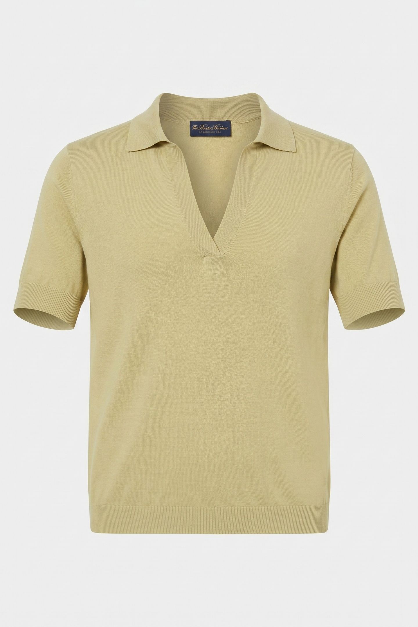 SILK BLEND KNIT POLO WITH JOHNNY COLLAR MINT 4