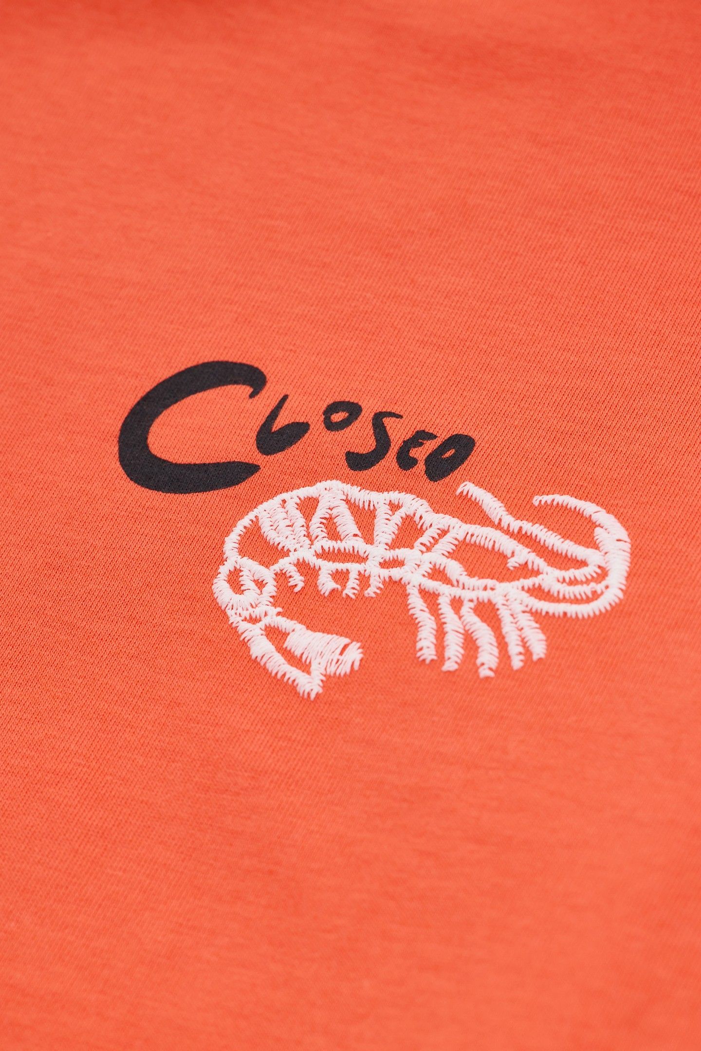 EMBROIDERED T-SHIRT WASHED RED 4