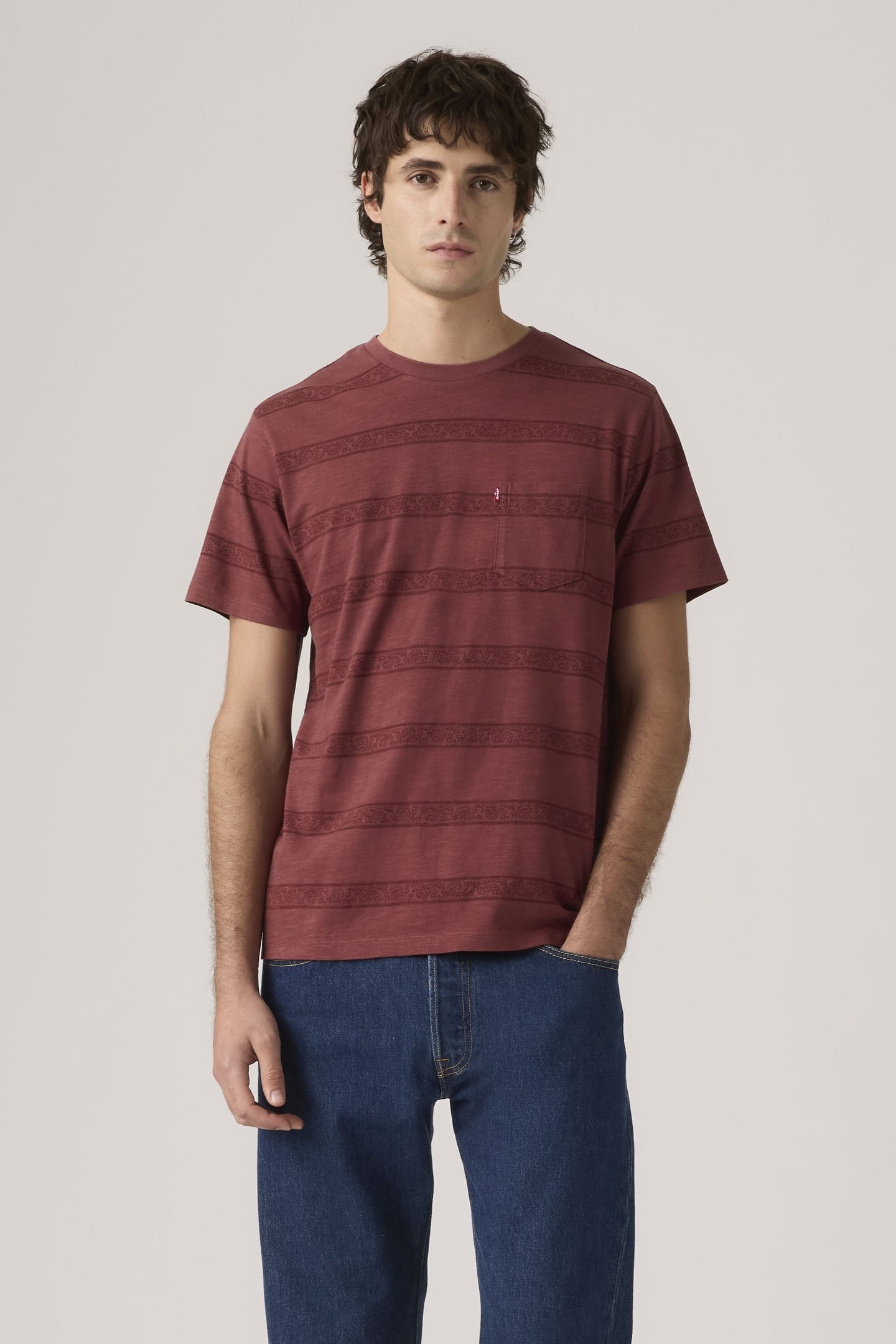 SS CLASSIC POCKET TEE KABIR PAISLEY STRI 2