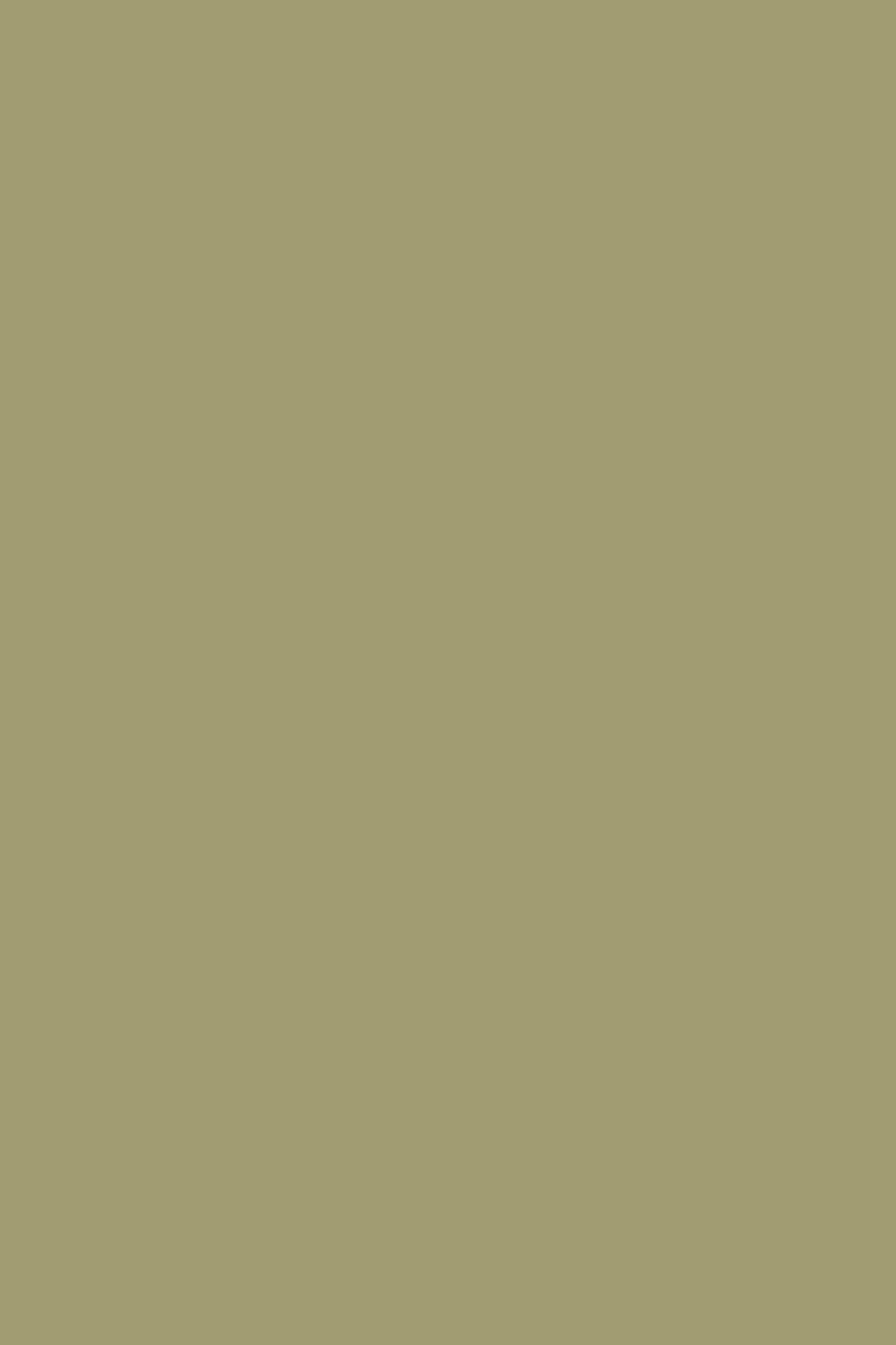 AURORA DRESS KHAKI 5