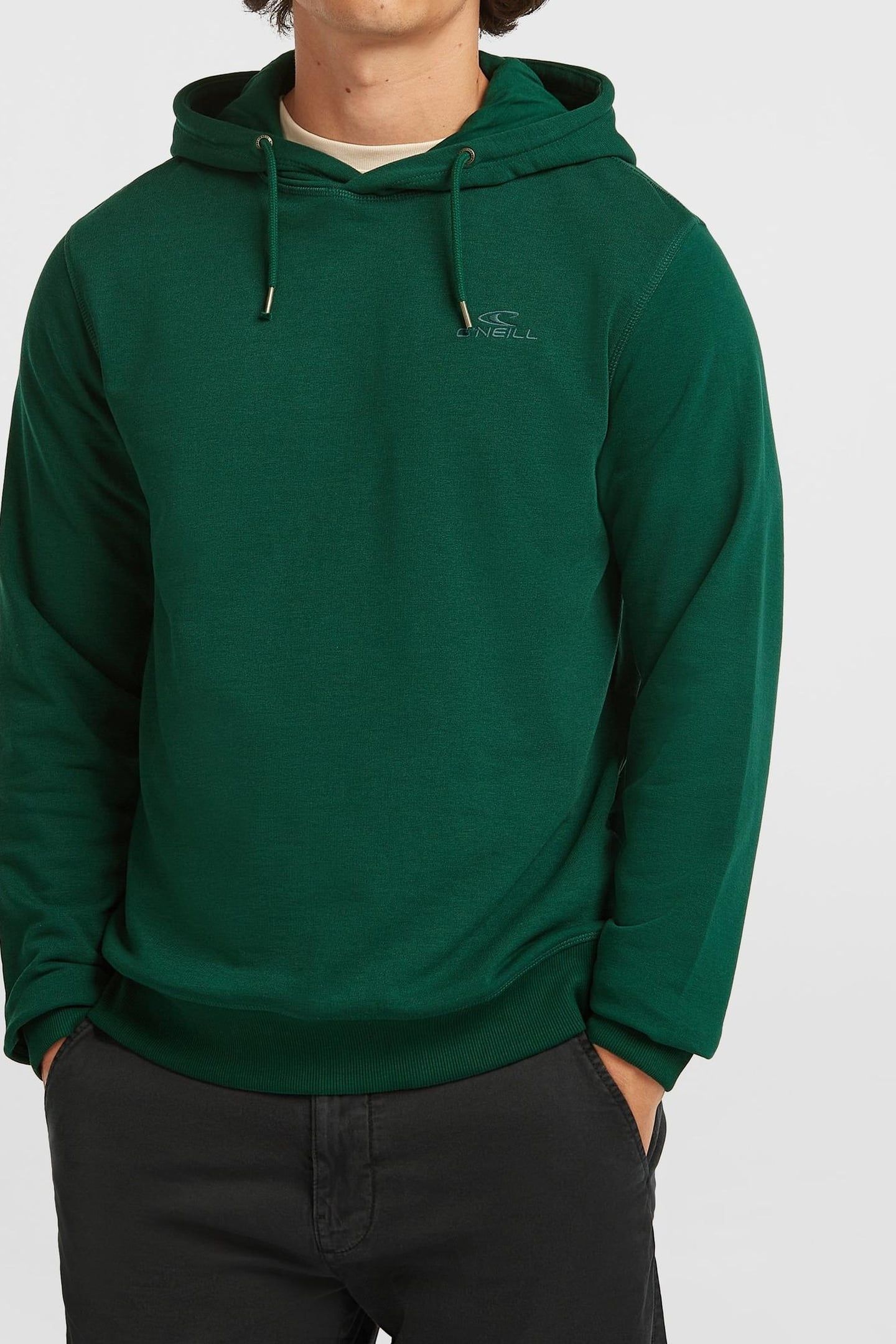 SMALL LOGO HOODIE EMERALD ENVY 1