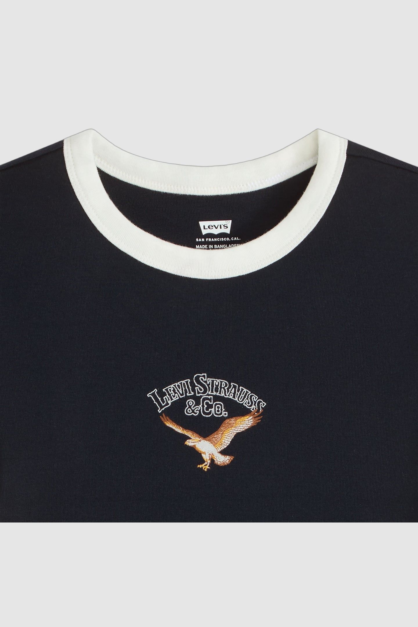 GRAPHIC MINI RINGER TEE MULTICOLOR EAGLE 5