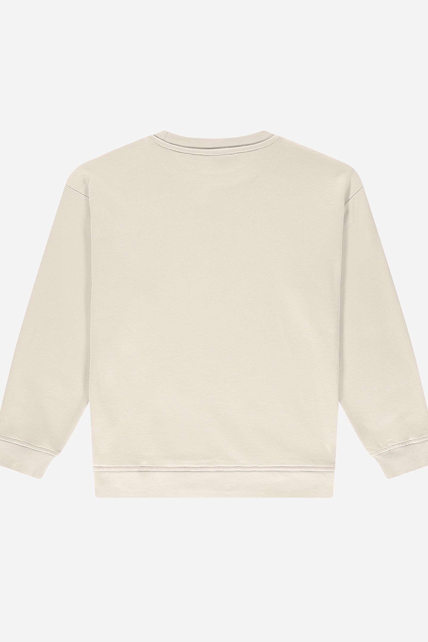 ICON OVERSIZED SWEATSHIRT WOOD ASH 2