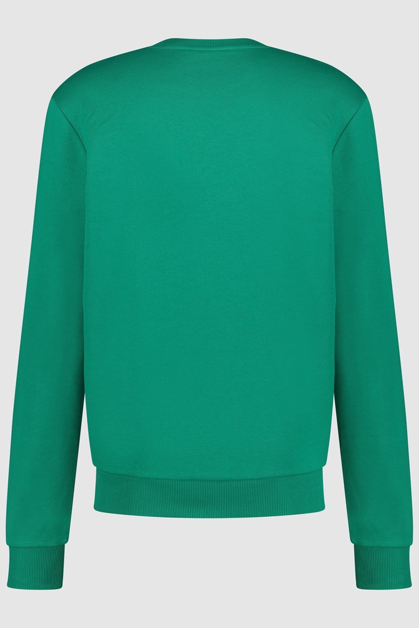 JORDAN SWEAT GREEN EDGE 1