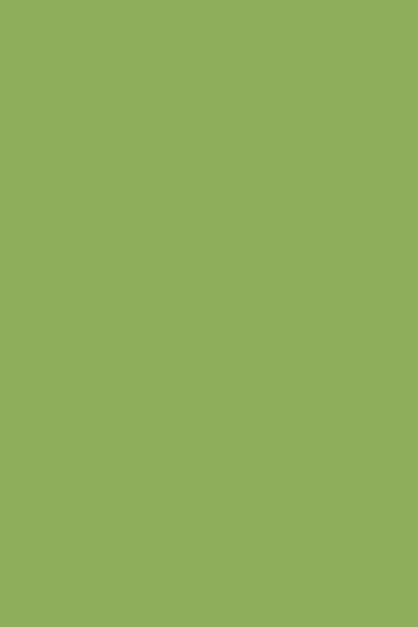 JAHO T-SHIRT FERN GREEN 4