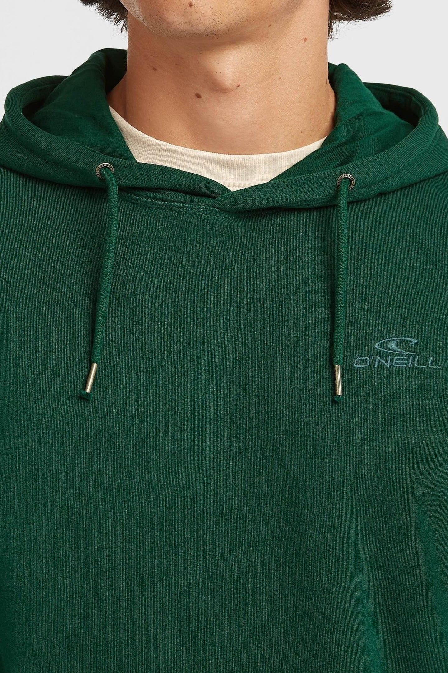 SMALL LOGO HOODIE EMERALD ENVY 7