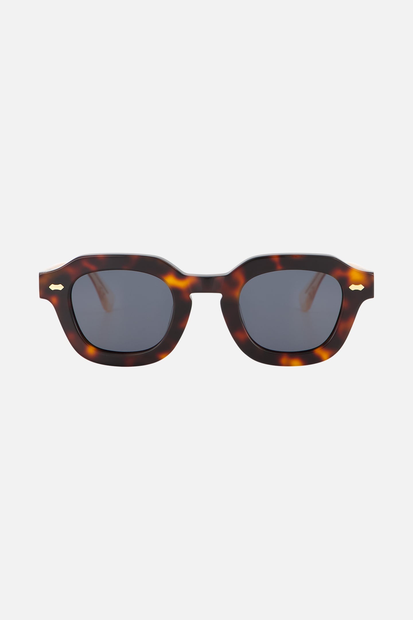 THE GLASS TORTOISE 1