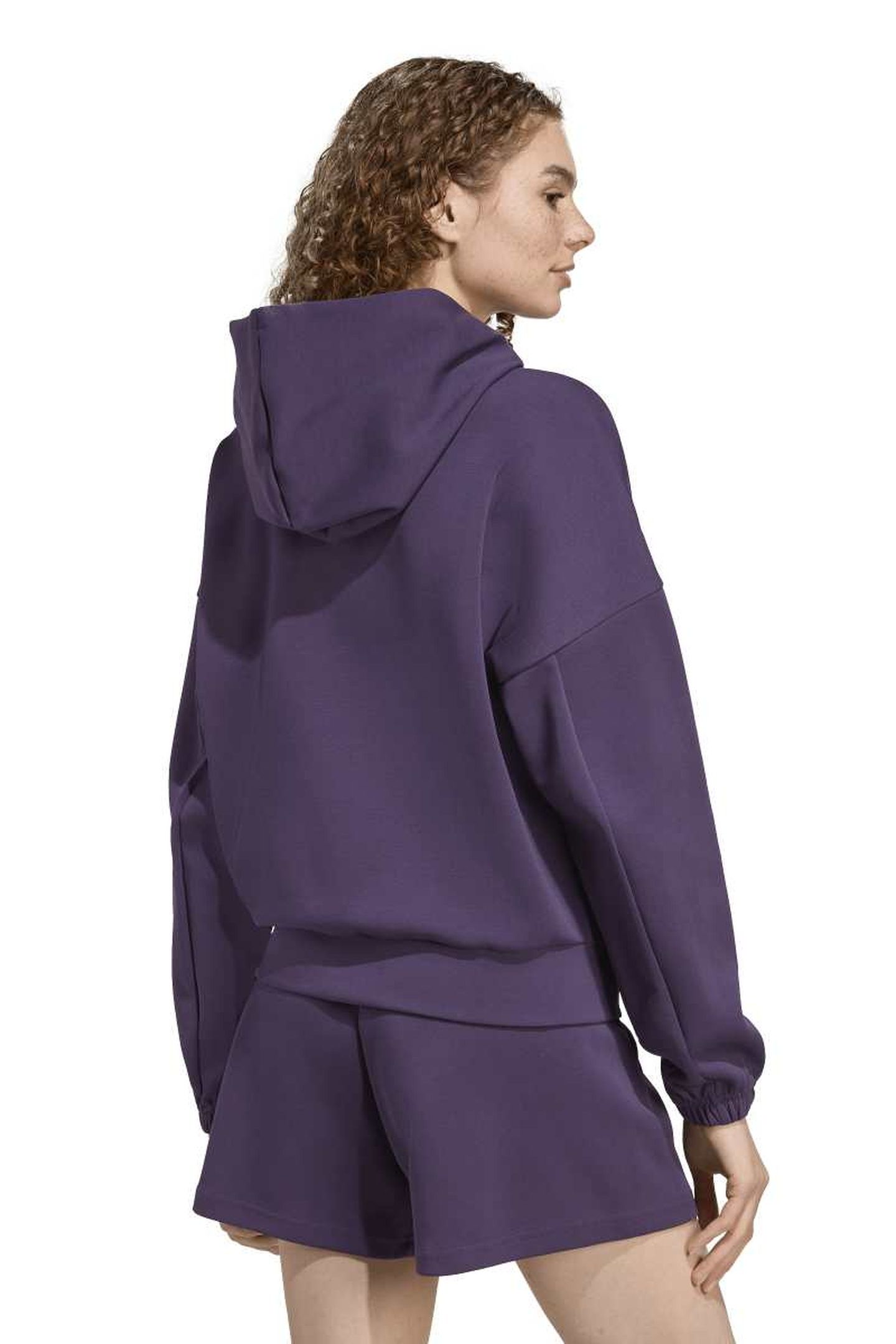 SPORTSWEAR FUTURE ICONS SMALL LOGO FULL ZIP HOODIE AURORA PL 3