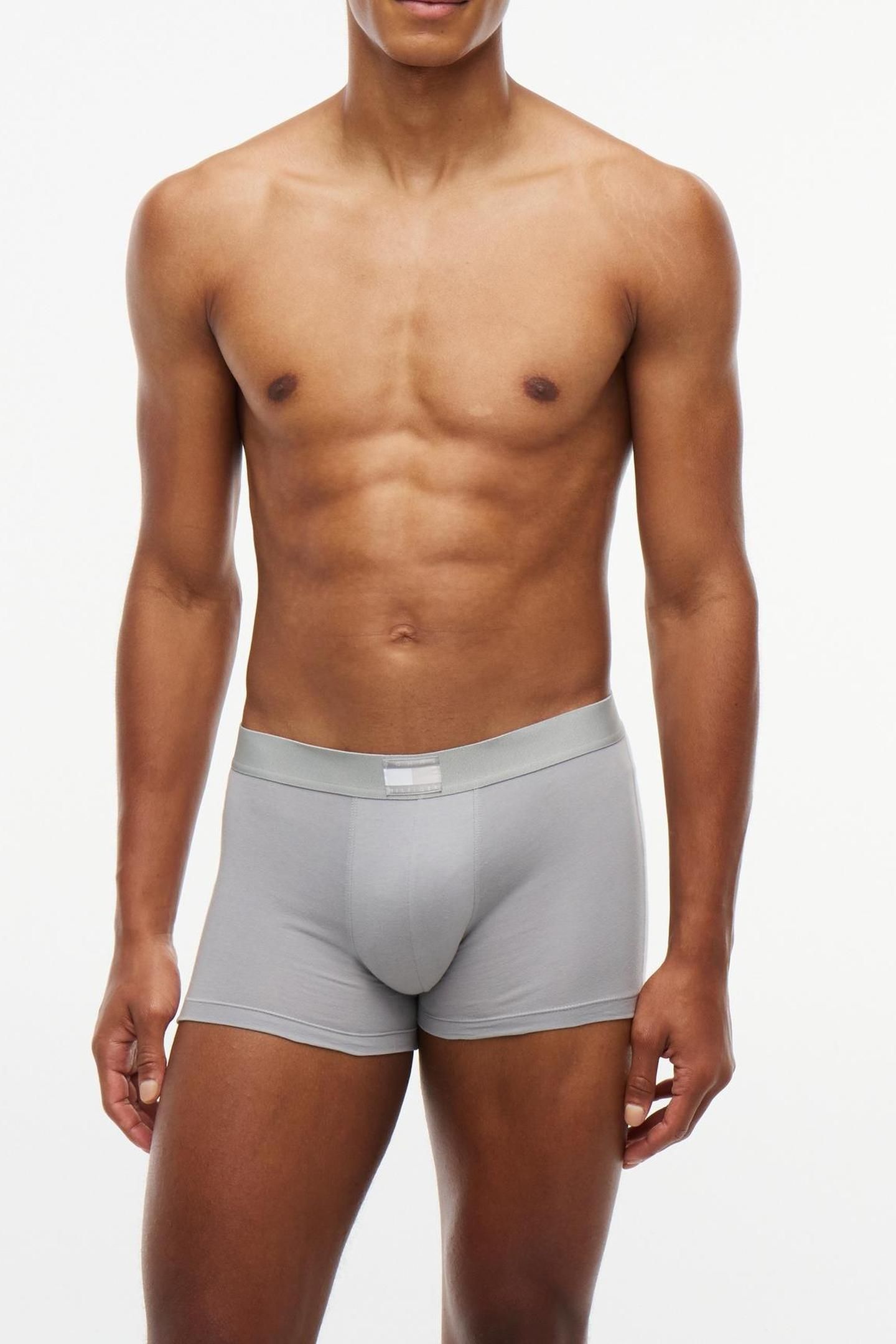 3-PACK TRUNK SILVER/BLUE/GREEN 3