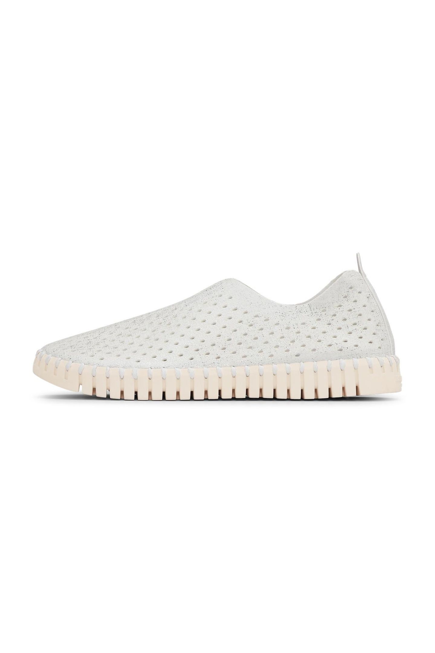 TULIP3223 WHITE PEARLED IVORY 1
