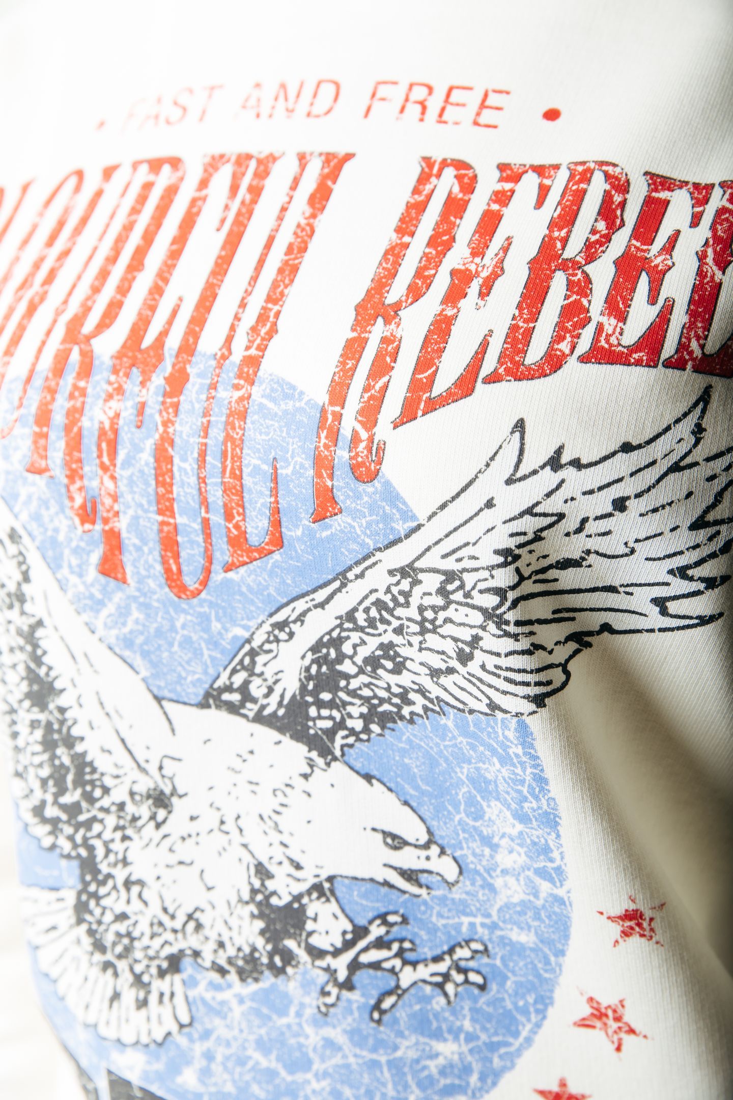 EAGLE DROPPED SHOULDER SWEAT OFF WHITE 4