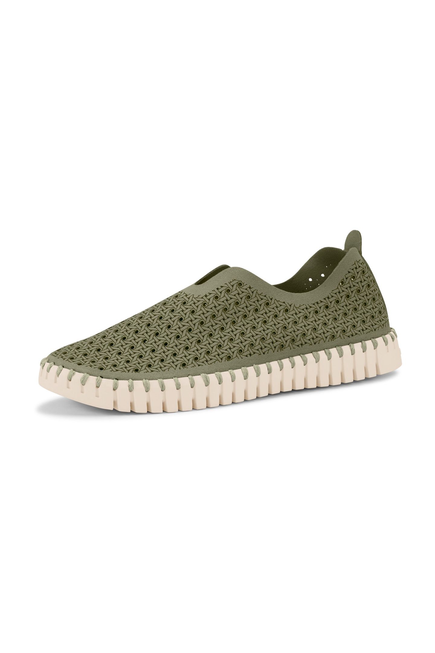 TULIP4031 ARMY PEARLED IVORY 6