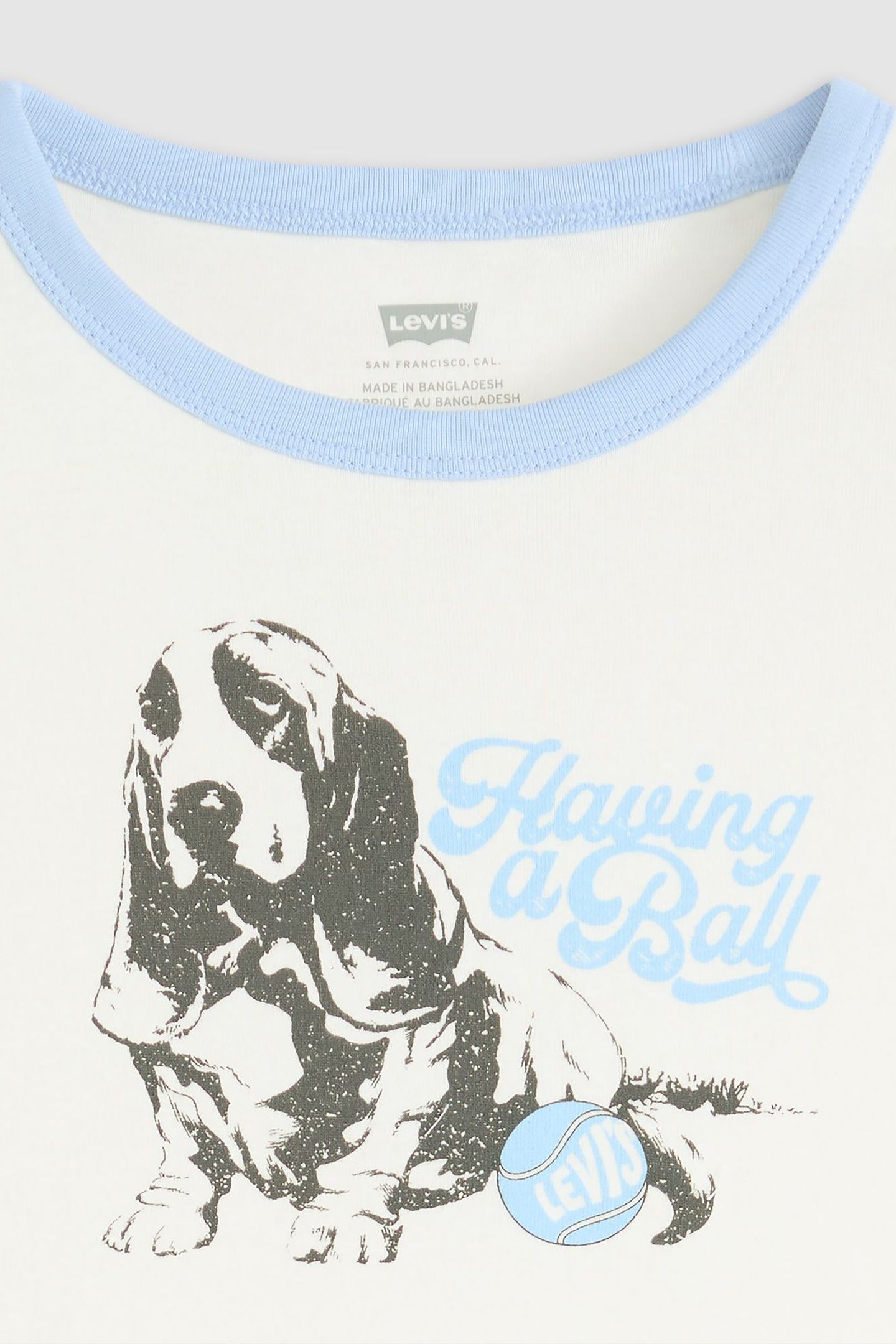 GRAPHIC RINGER RICKIE HAVING A BALL DOG 5