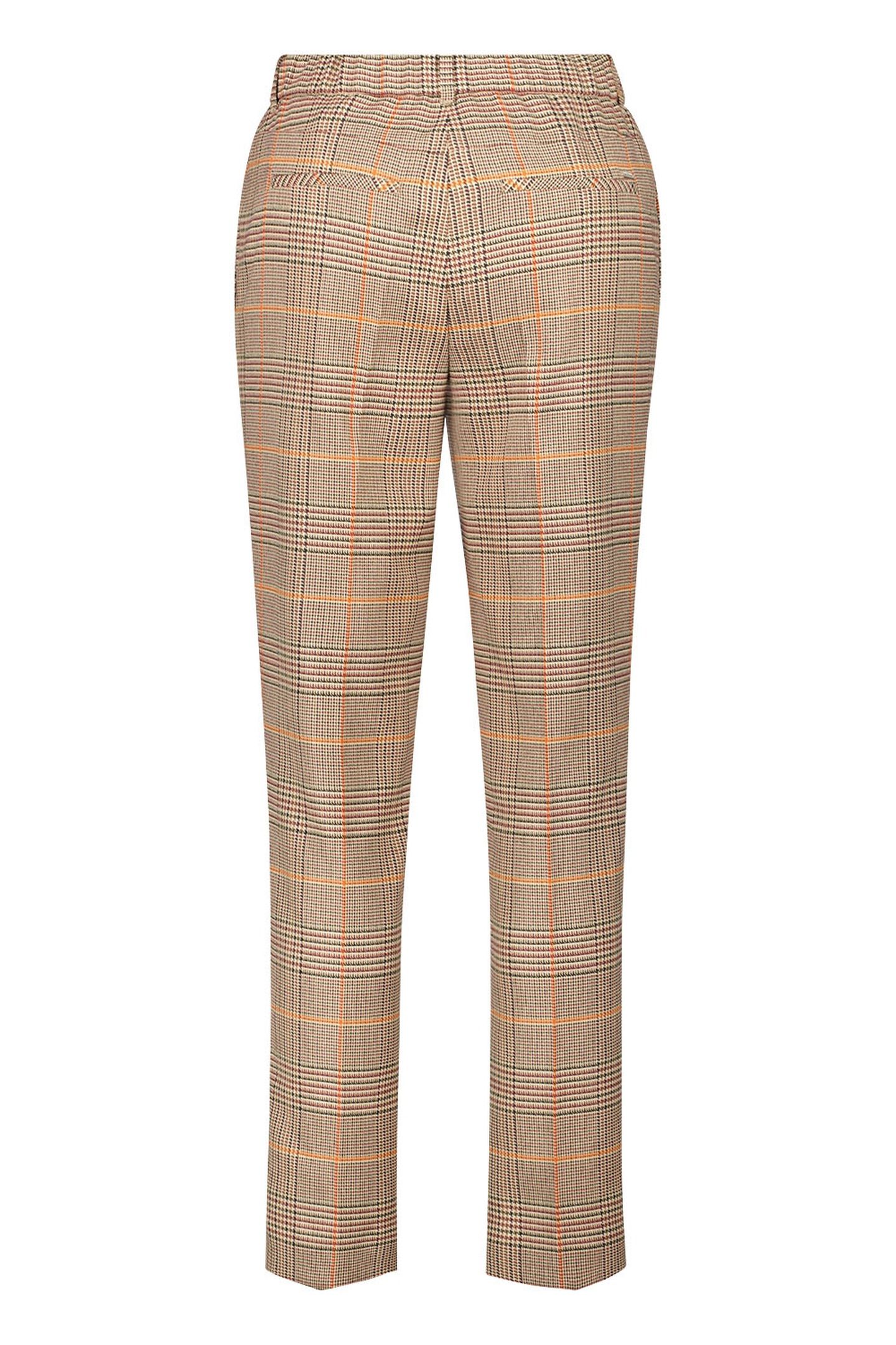 FRIEDI761-622221 CAMEL 2