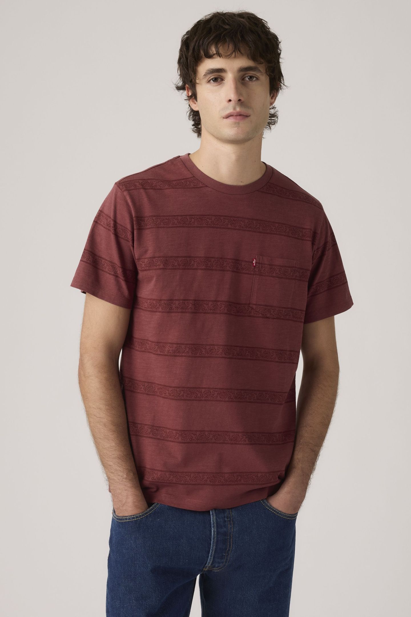SS CLASSIC POCKET TEE KABIR PAISLEY STRI 1