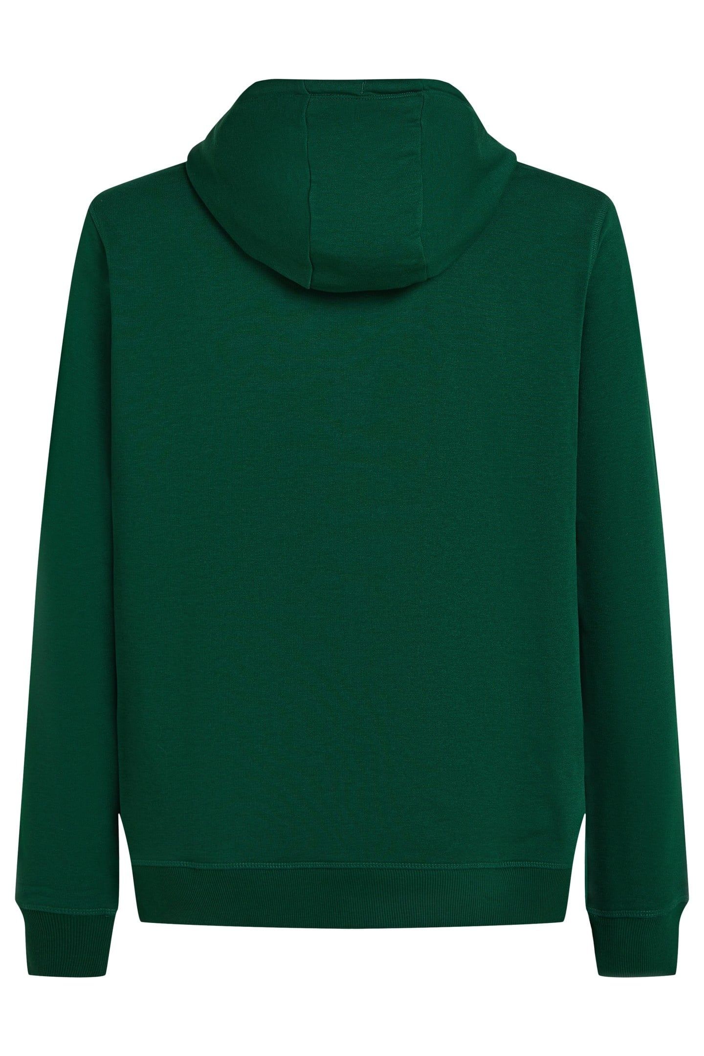 SMALL LOGO HOODIE EMERALD ENVY 6