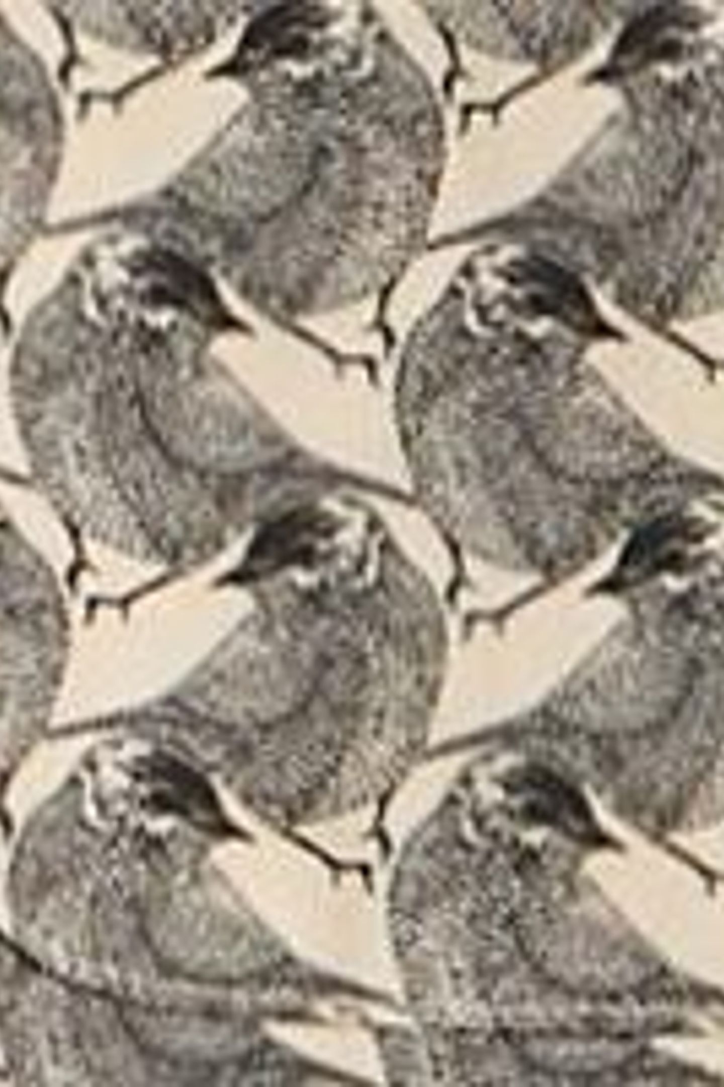 BIRD PRINTED SHIRT WHITE PRINT 5