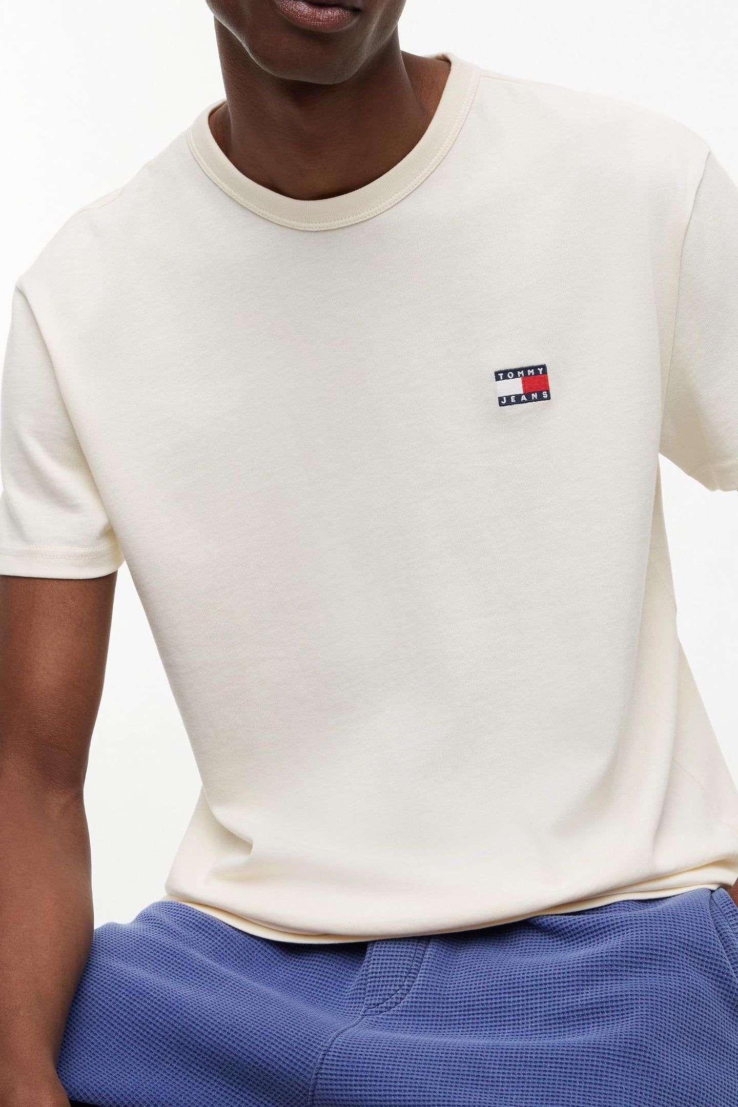 REGULAR BADGE TEE EX CALICO 5