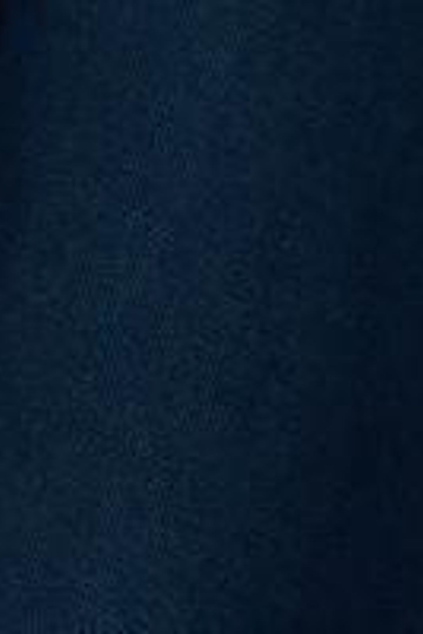 DEMI UTILITY LINEN JACKET DARK NAVY 6