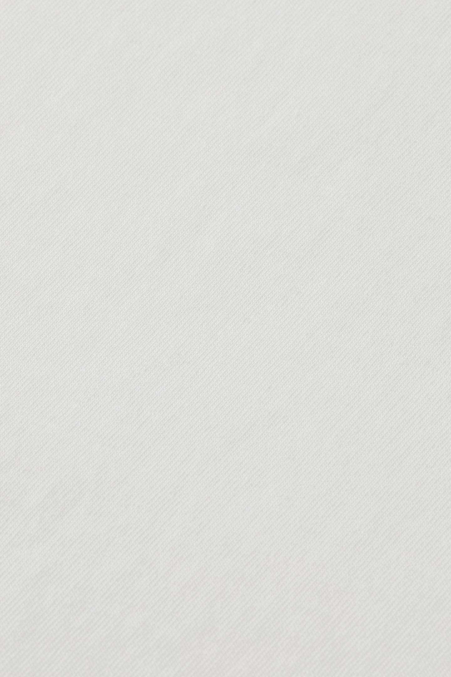 RAW EDGE T-SHIRT BRIGHT WHITE 4