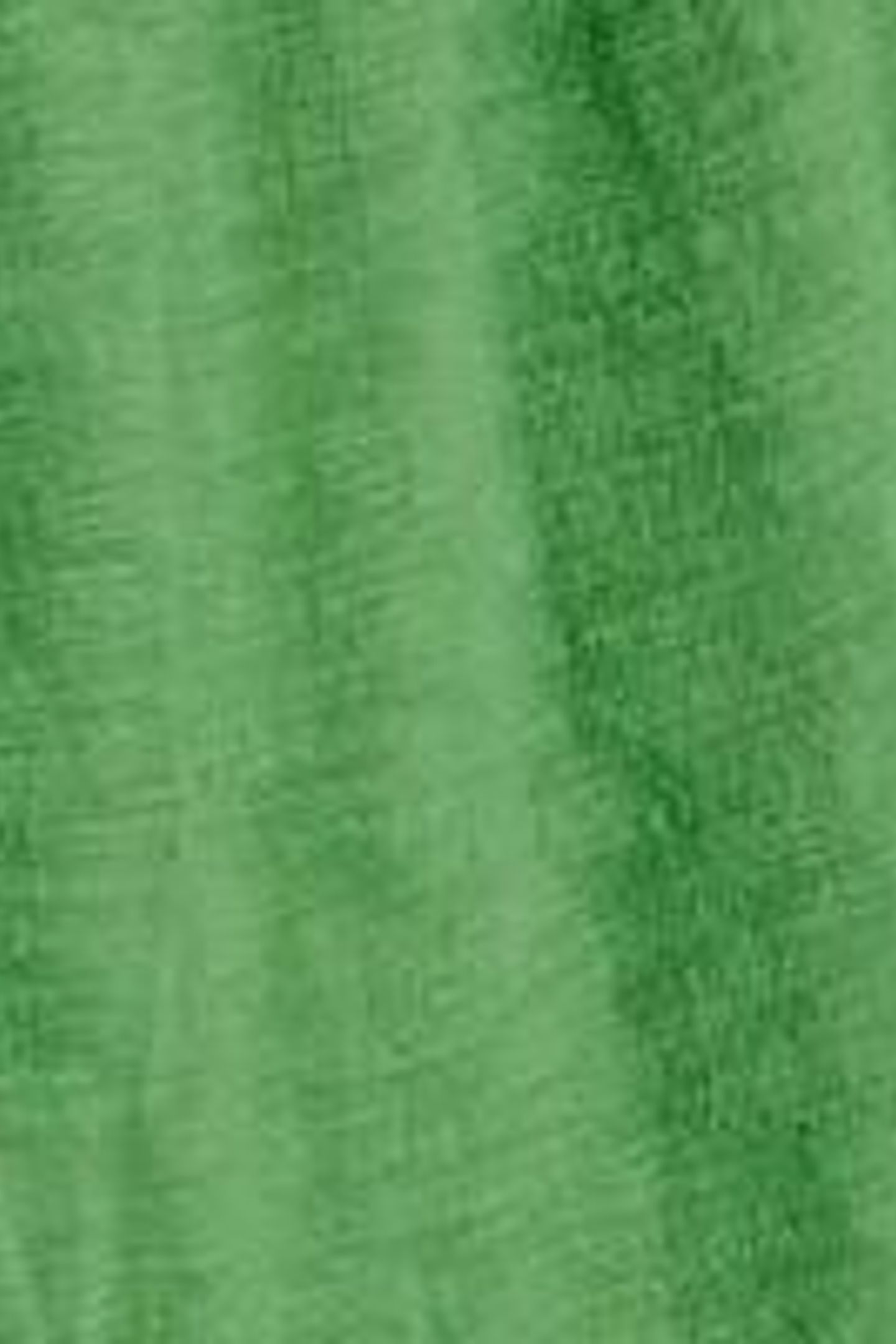 MARISSA BRODERIE MAXI SKIRT BRIGHT GREEN 5