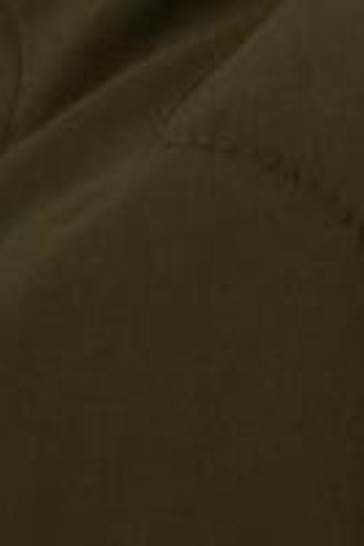 TENBY QUILTED GILET KHAKI GREEN 5