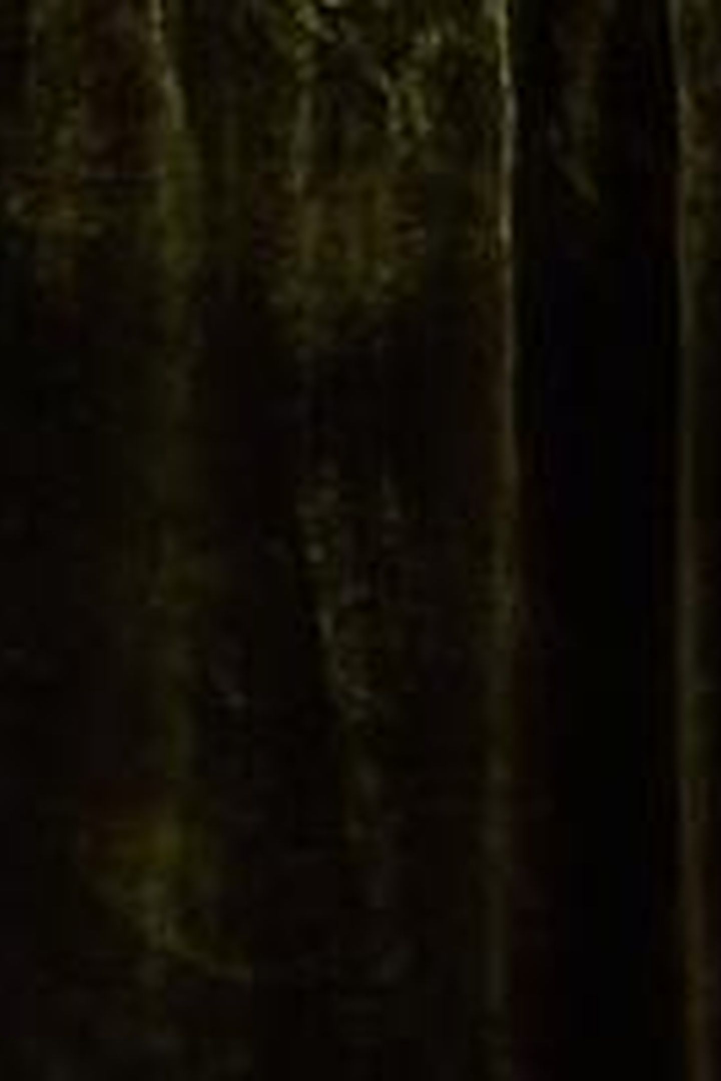 HARLEY VELVET DRESS KHAKI GREEN 4