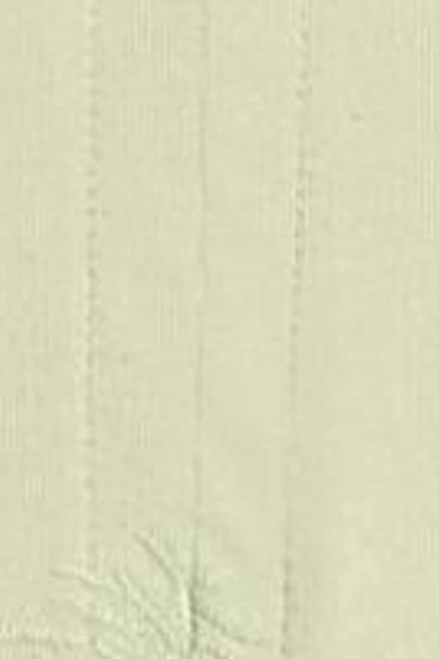 NELLY NOTCH EMBROIDERED TEE LIGHT GREEN 5