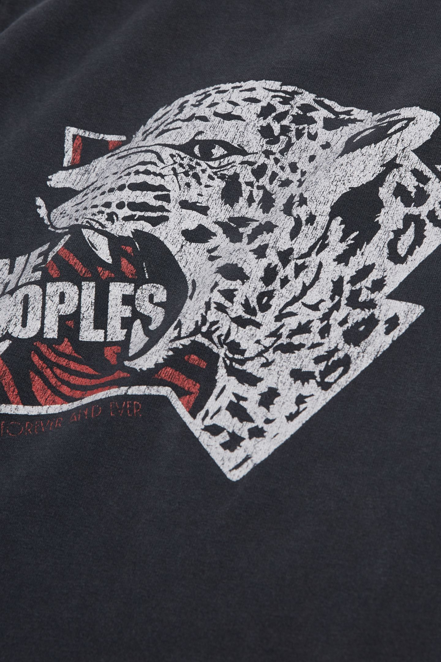 T-SHIRT MC TIGER BLACK WASHED 7