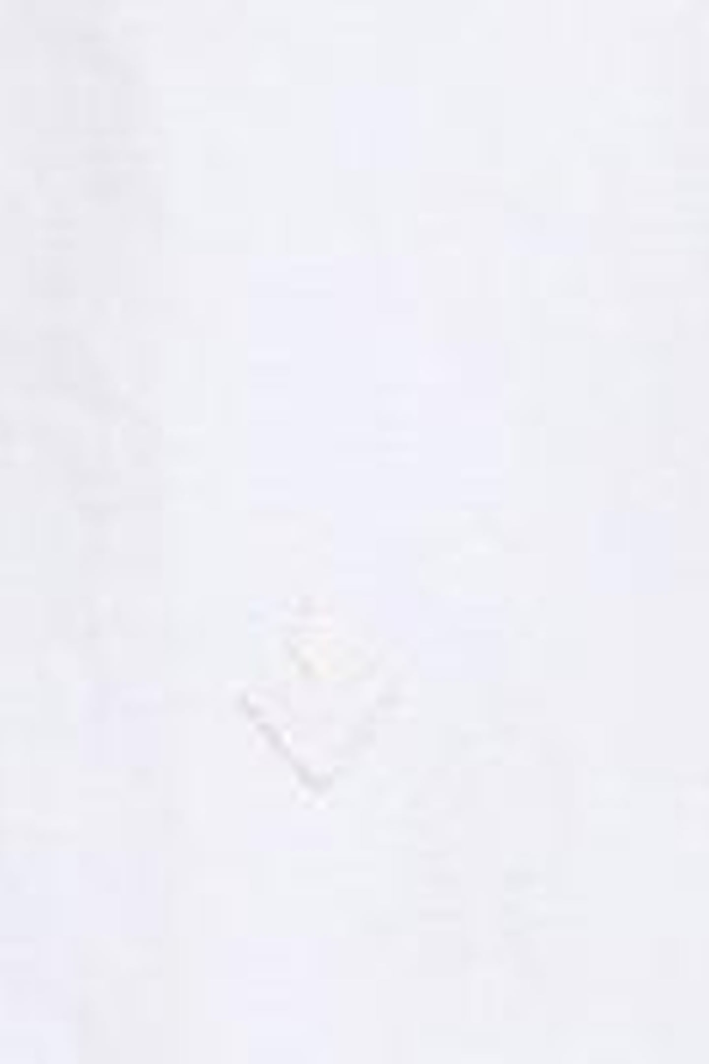 SOPHIE LONGLINE COTTON SHIRT PALE IVORY 7