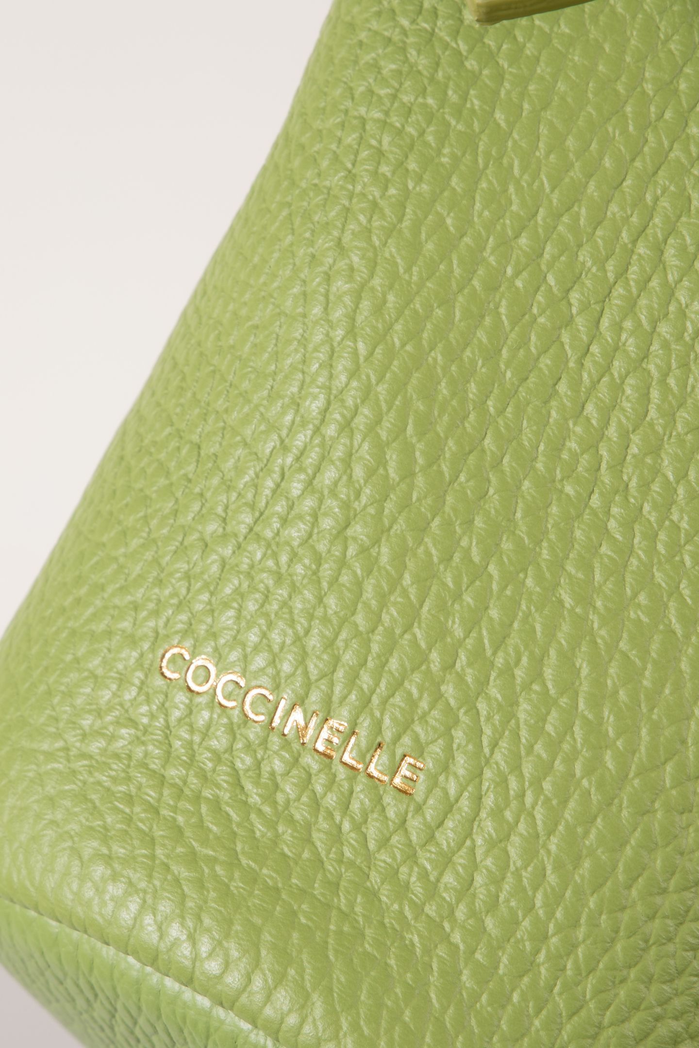 COCCINELLEFERNANDA GUACAMOLE 4
