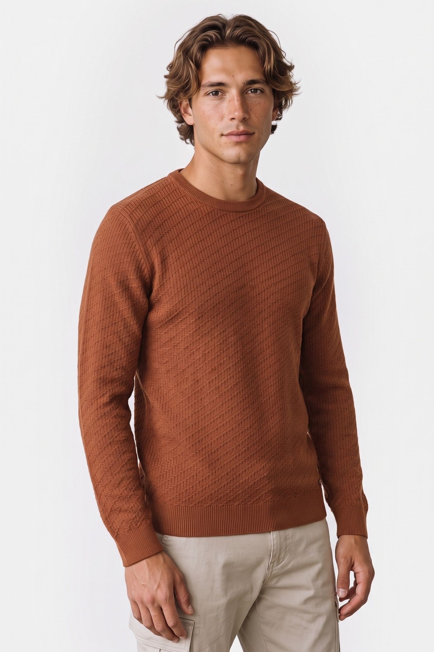 PULLOVER CREWNECK JACQUARD SOLID TERRA 1