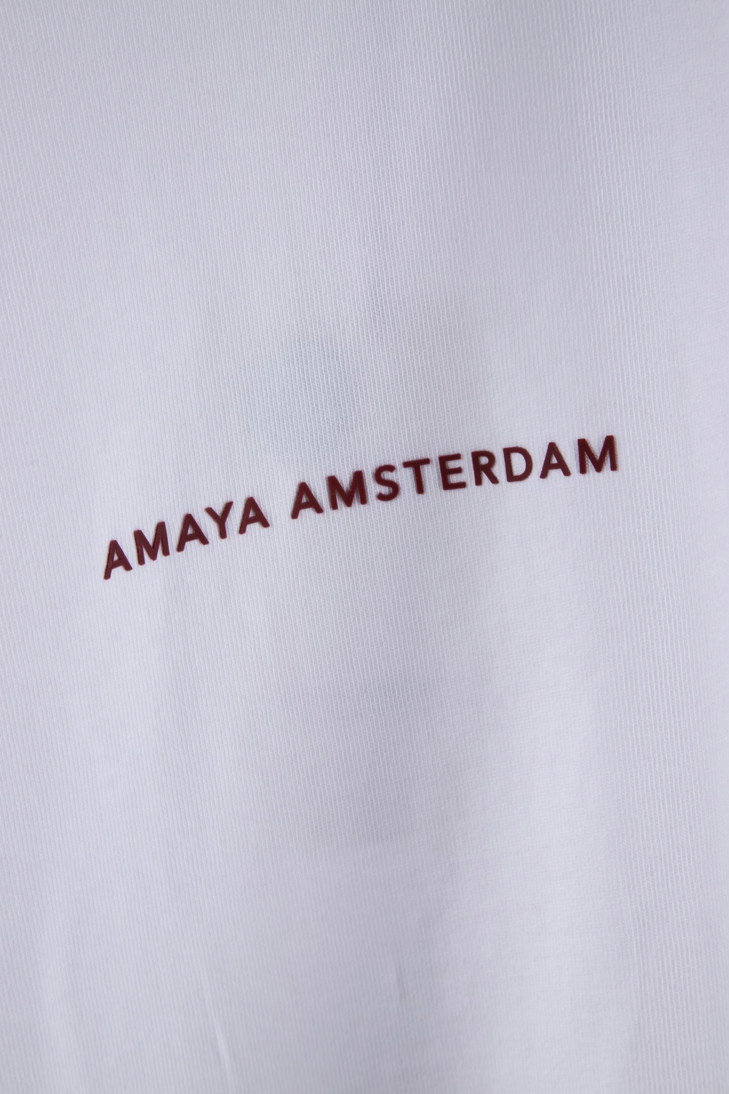 BAILEY T-SHIRT WHITERED 4