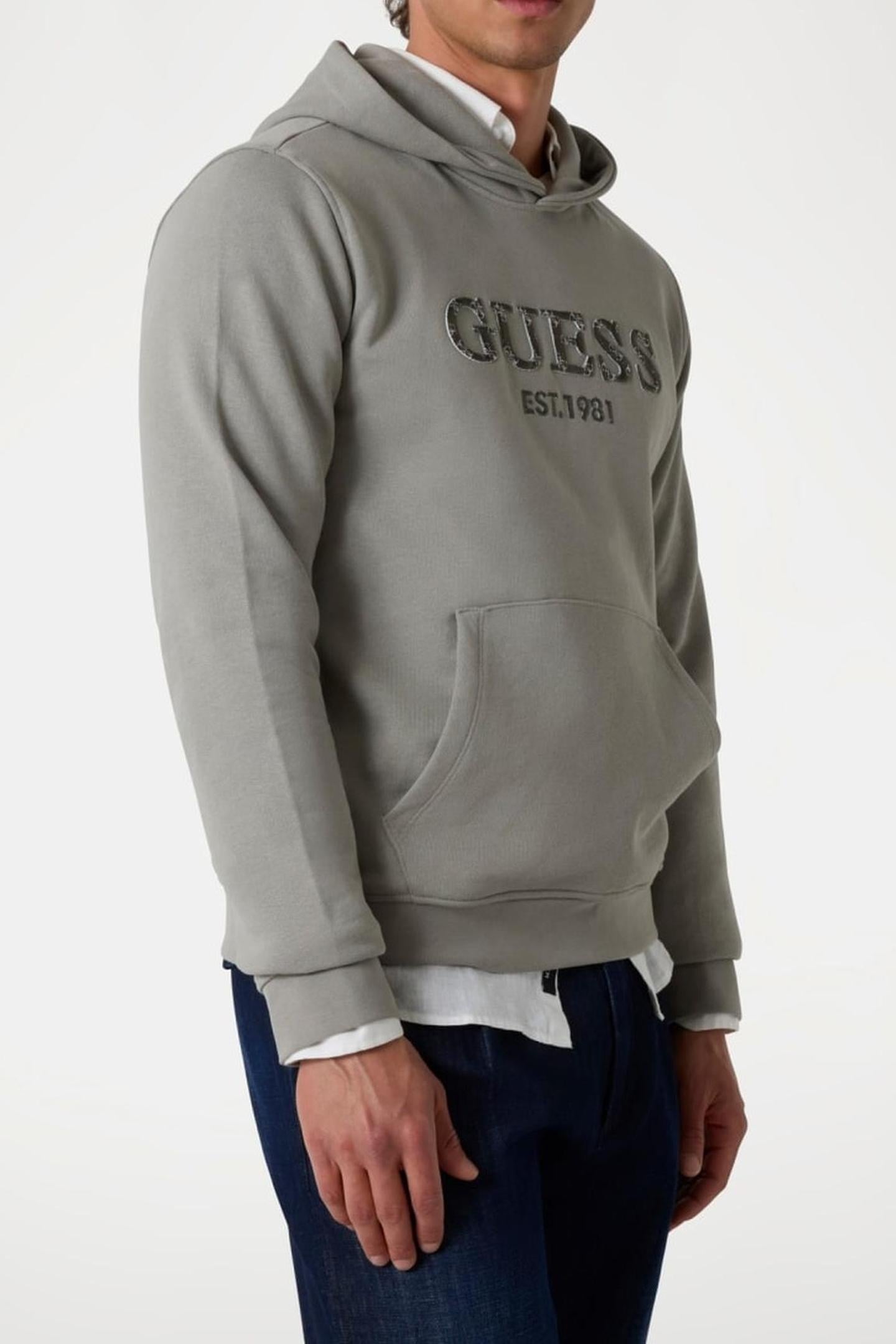 BEAU HOODIE SWEATSHI SAGE PLANT 3