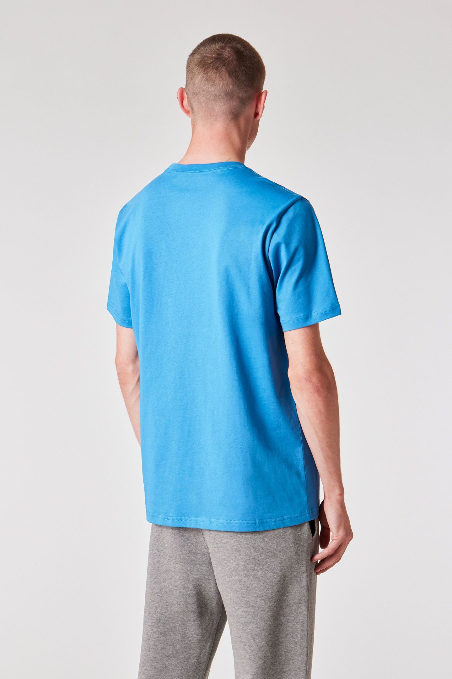 MENS REG FIT SS TSHIRT ZEBRA GREYISH BLUE 3