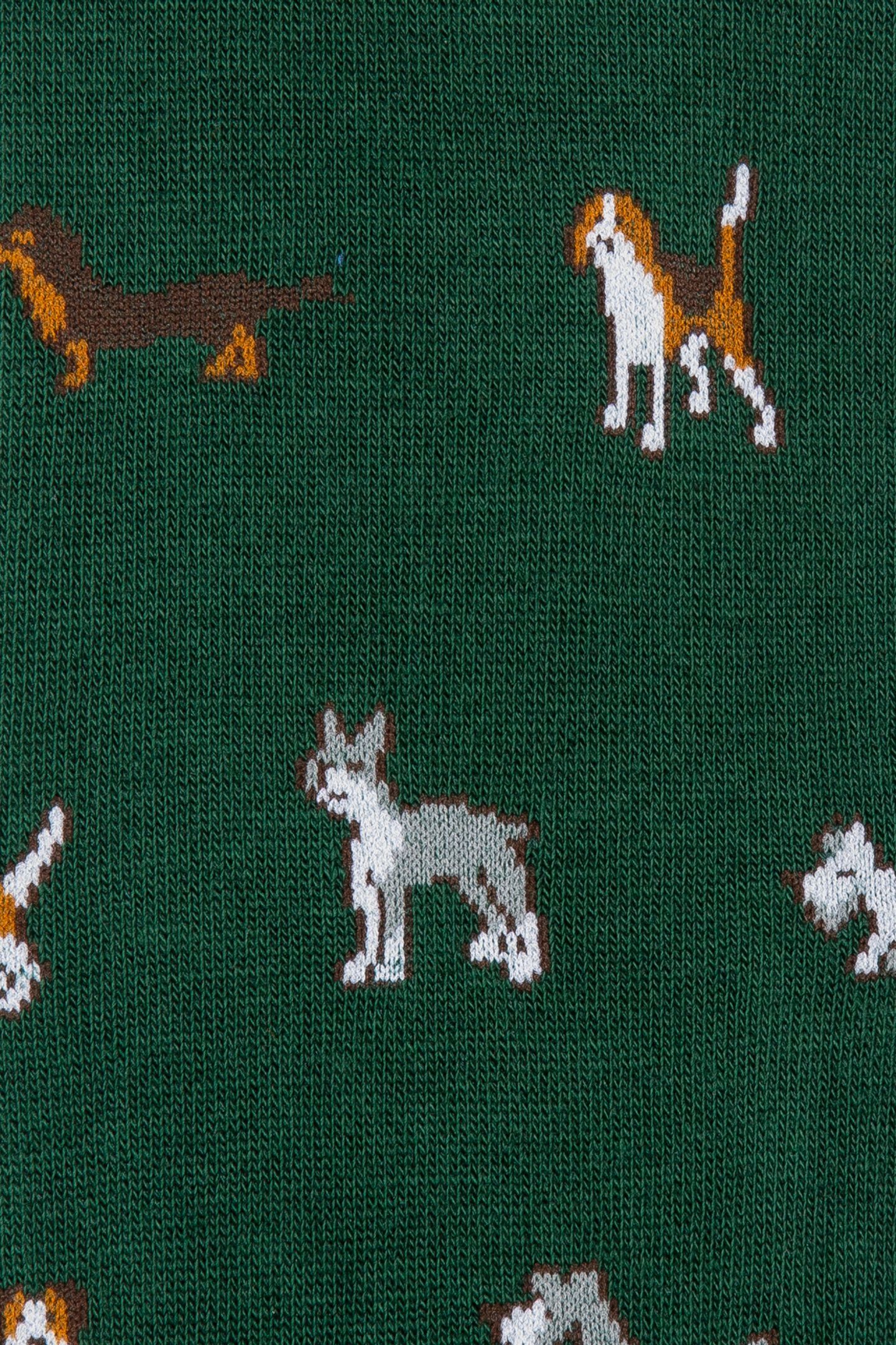 MEN SOCK WALDO DOGS BOTTLE GREEN 3