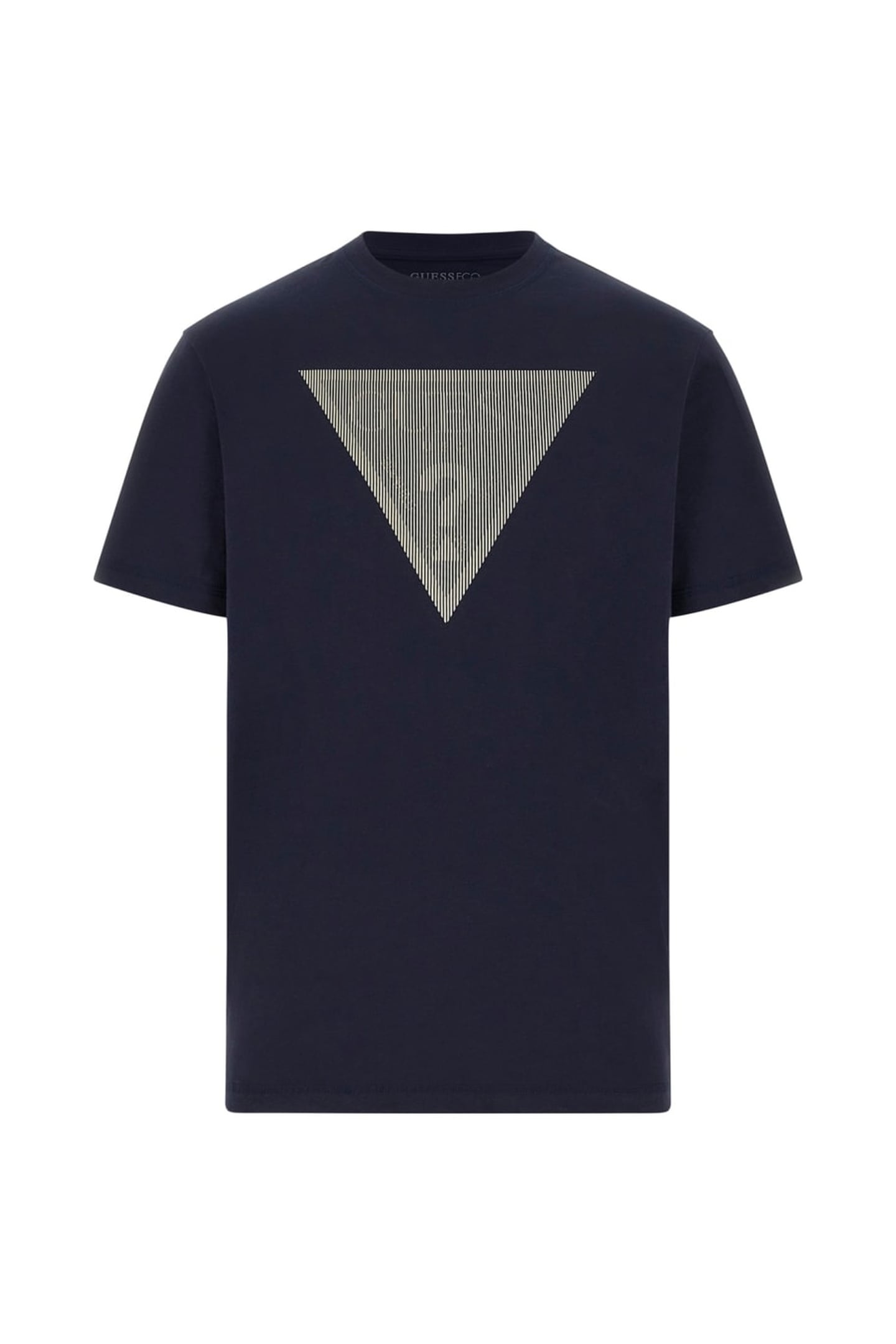 CN SS TRIANGLE LOGO SMART BLUE 5