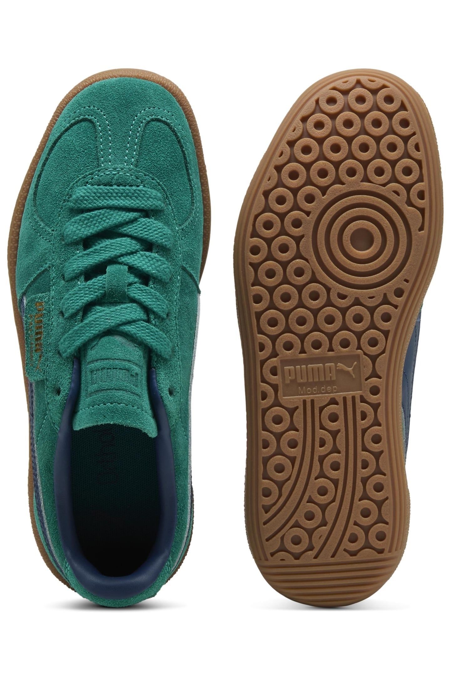 UNISEX PALERMO JUNIOR WILD GREEN-PERSIAN BLUE 5