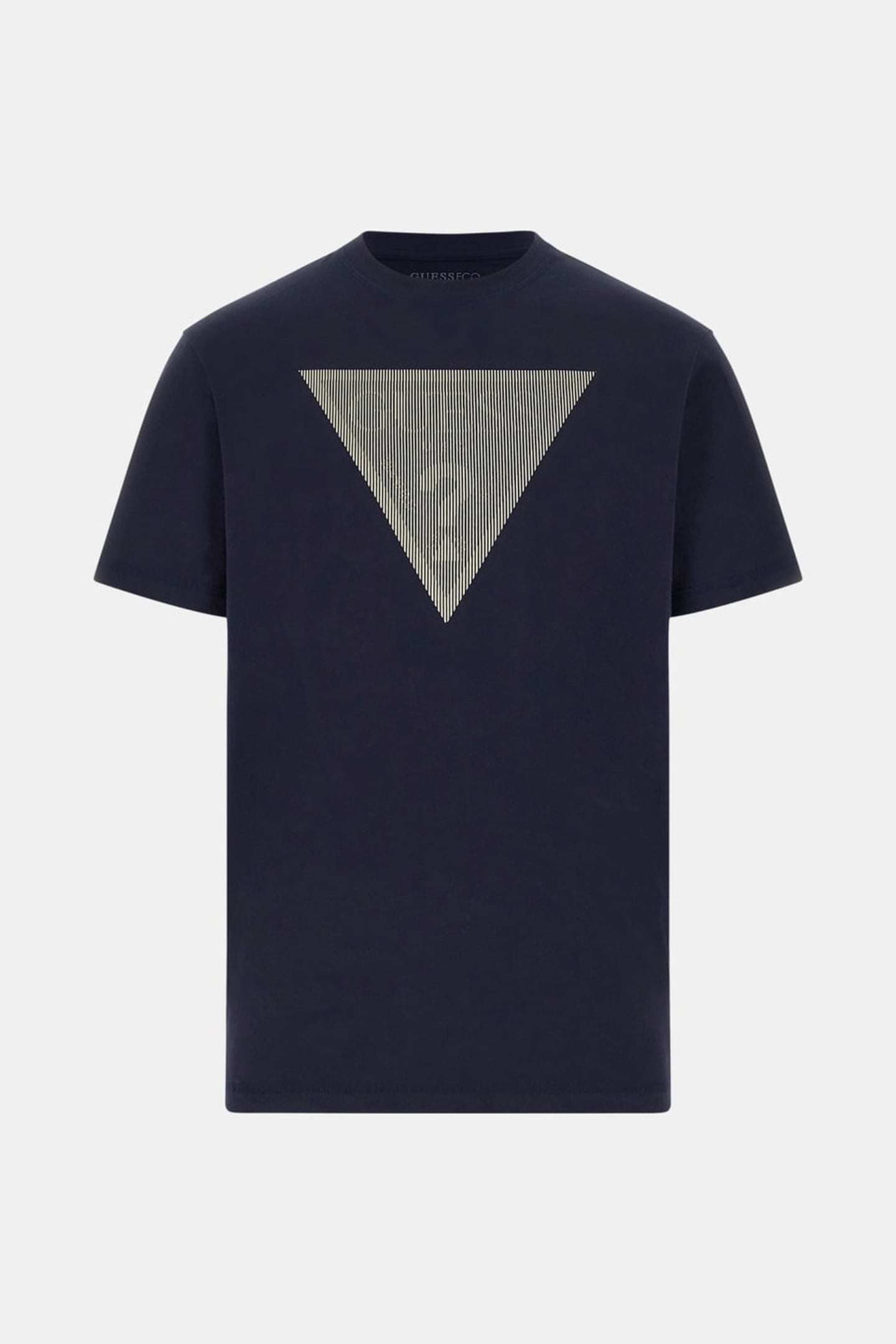 CN SS TRIANGLE LOGO SMART BLUE 4