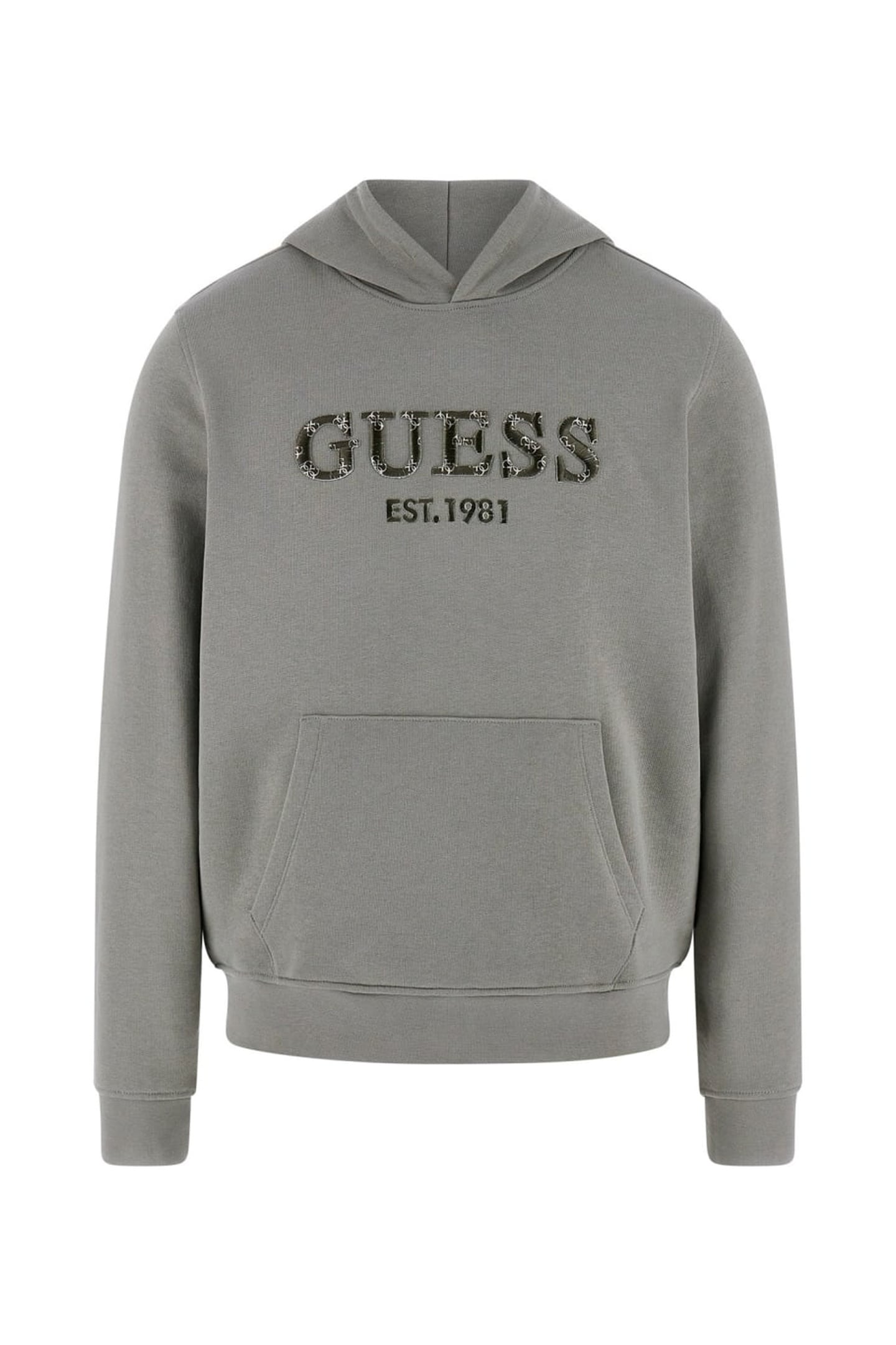 BEAU HOODIE SWEATSHI SAGE PLANT 5