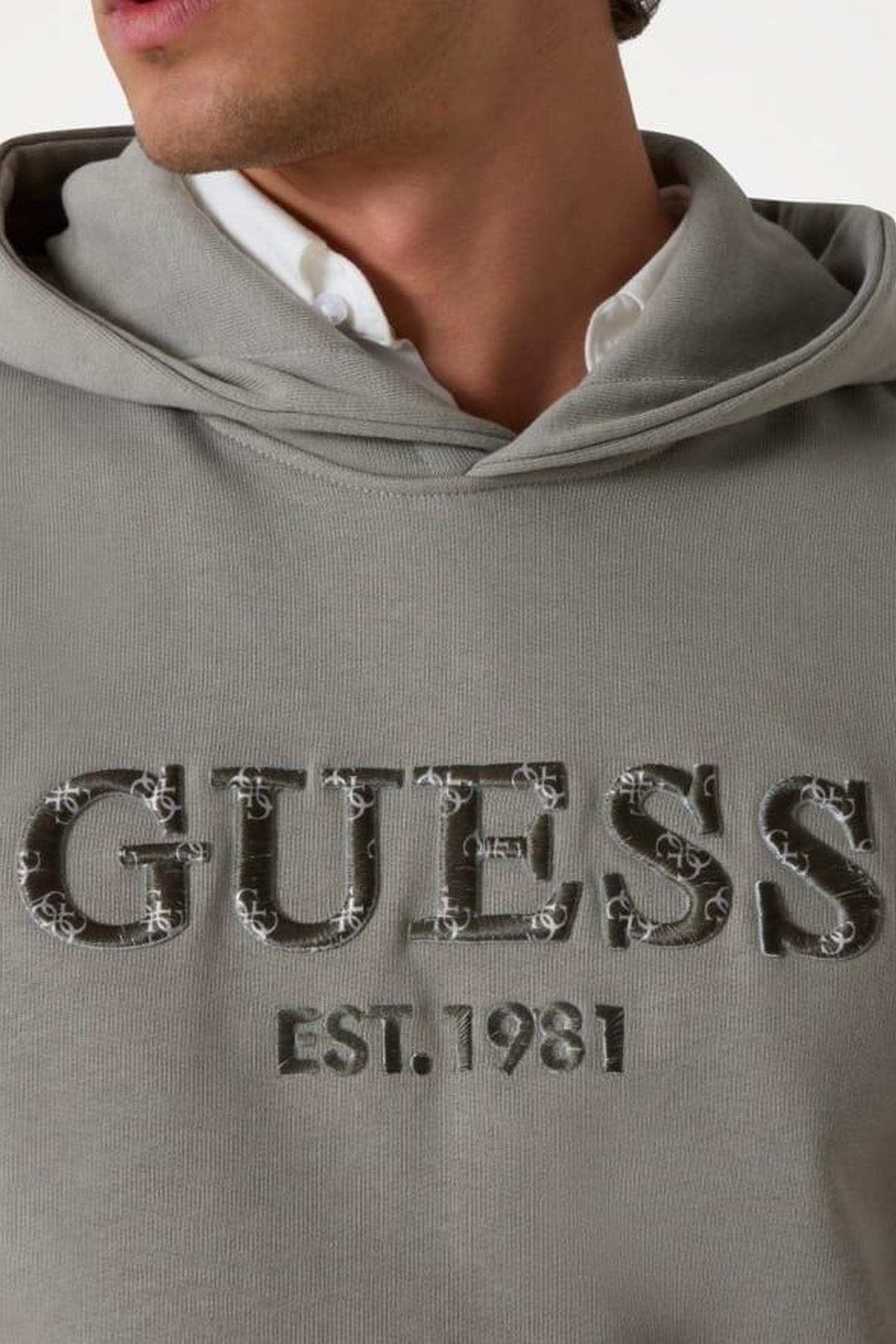 BEAU HOODIE SWEATSHI SAGE PLANT 6