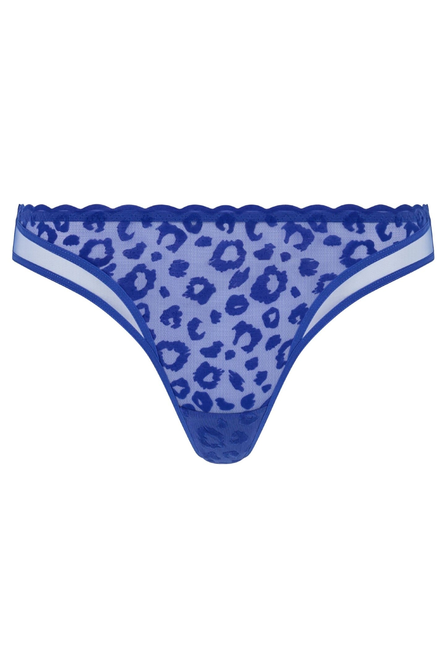 CO BO. TANGA STD STD W. SAILOR BLUE 3