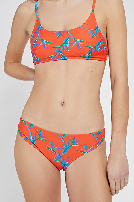 LADIES CRANEFLOWER LOW BRIEF MULTI COLOUR 2