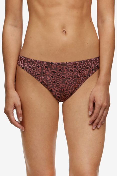 SW BO. BRIEF REVEALING HIGH W. HIGH LEG CAMAIEU 2