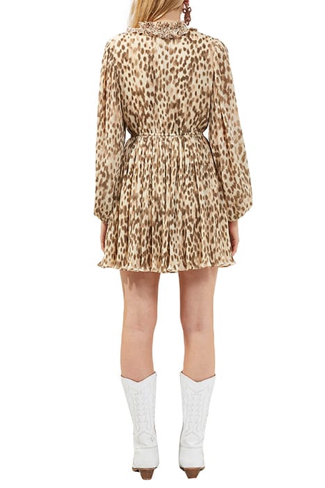 EVA RUFFLED MINI CREAM DRESS CLASSIC CREAM MULTI 4