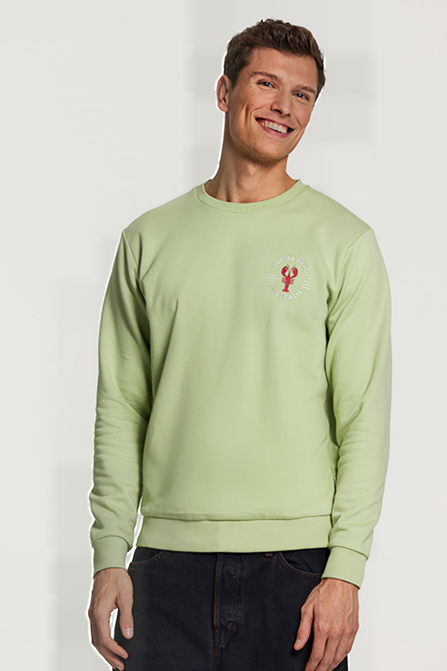SWEATER LOBSTER BEACH FADED MINT GREEN 2