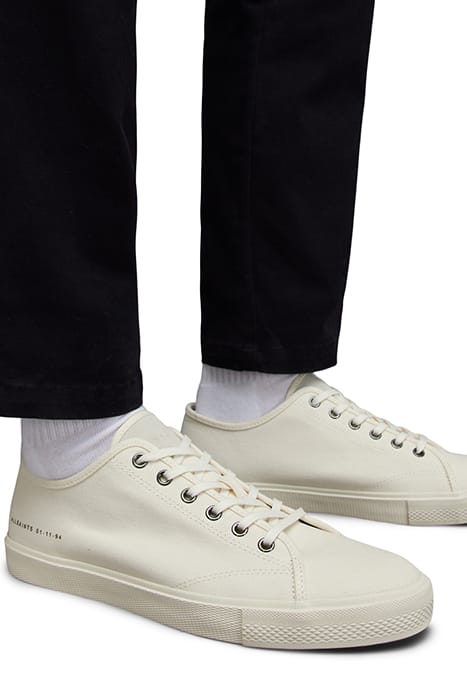 THEO LOW TOP OFF WHITE 2
